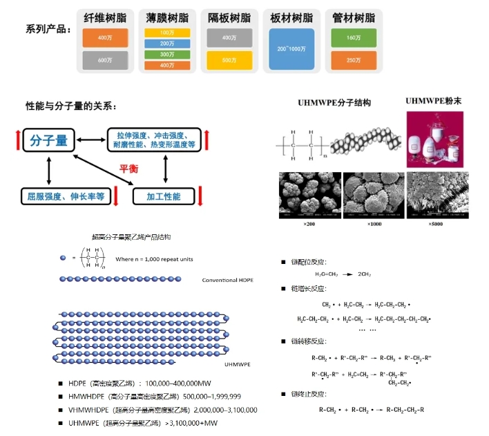 微信截图_20241121210007.jpg